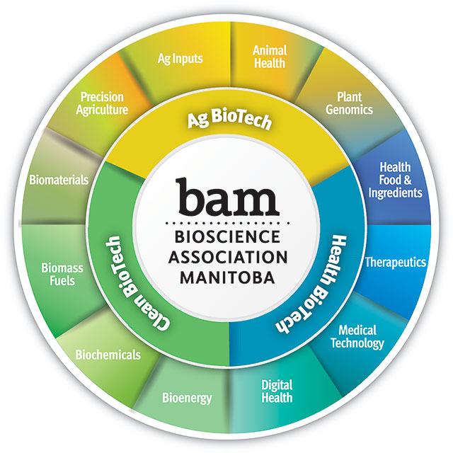 BAM wheel
